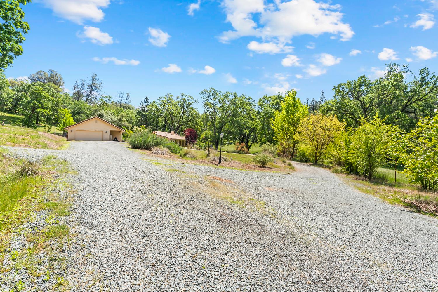 19461 Fiddletown Road Fiddletown, CA 95629 - Photo 44 of 62 a view of a road with a yard