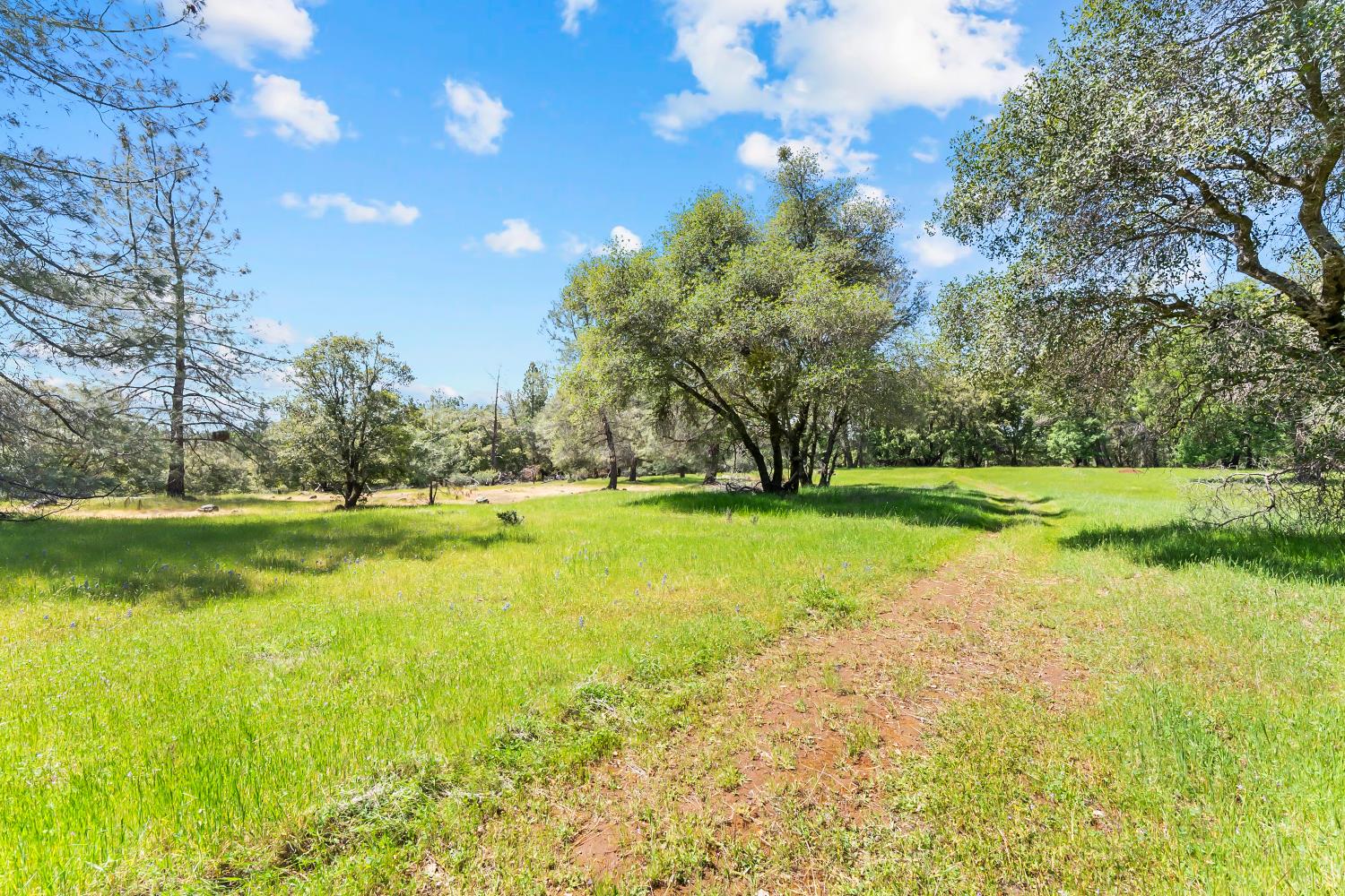 19461 Fiddletown Road Fiddletown, CA 95629 - Photo 47 of 62 a view of a golf course with a lake view