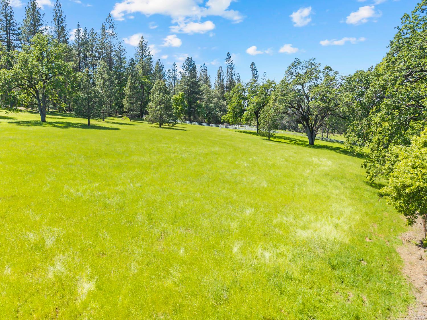 19461 Fiddletown Road Fiddletown, CA 95629 - Photo 50 of 62