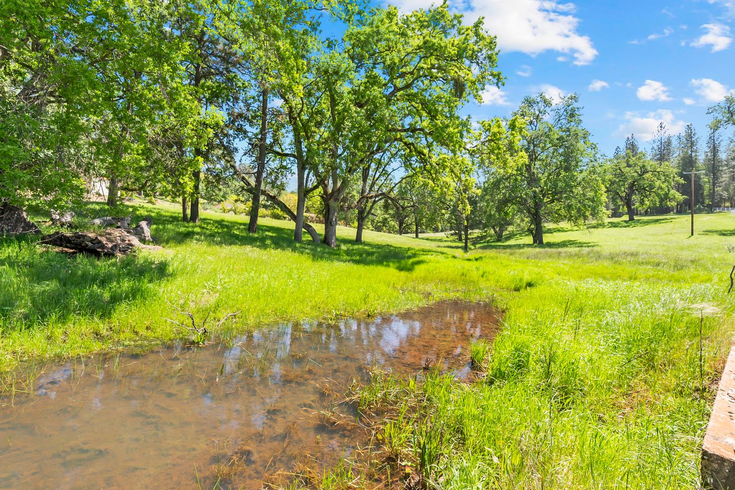 19461 Fiddletown Road Fiddletown, CA 95629 - Photo 51 of 62