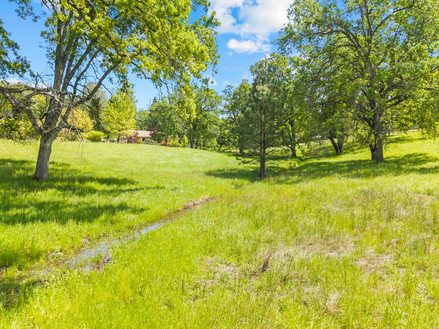 19461 Fiddletown Road Fiddletown, CA 95629 - Photo 52 of 62