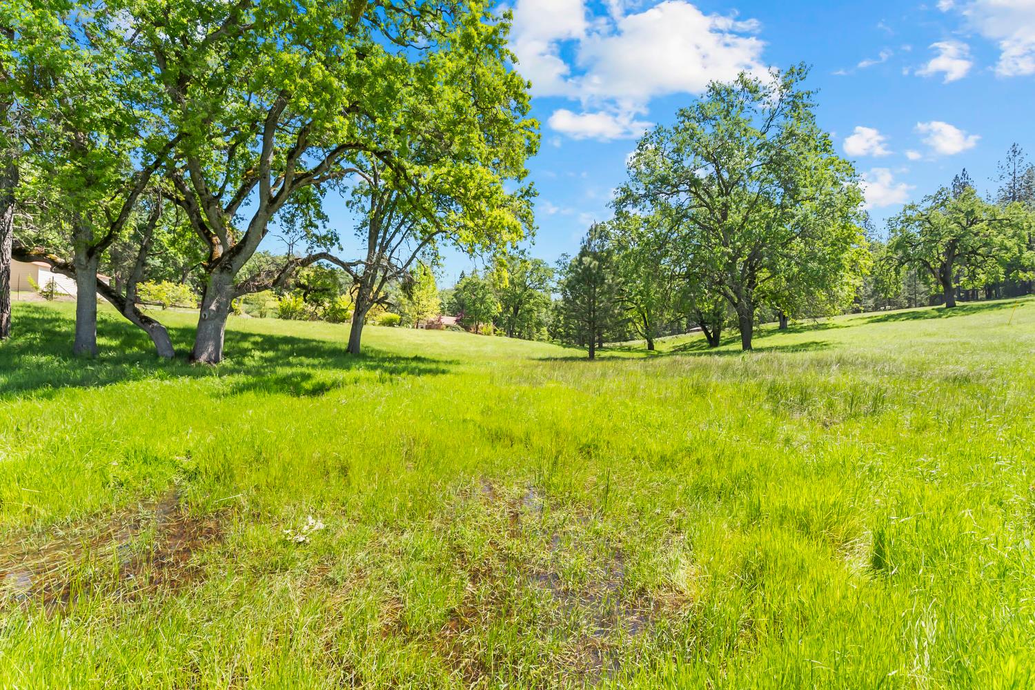 19461 Fiddletown Road Fiddletown, CA 95629 - Photo 53 of 62