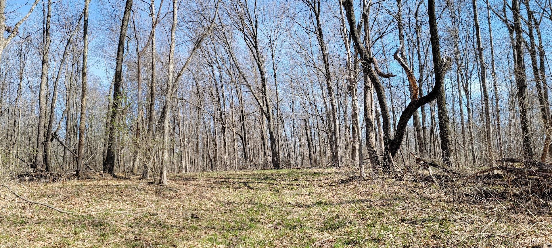 600 Shelburn In 47849 Shelburn, IN 47879 - Photo 11 of 26