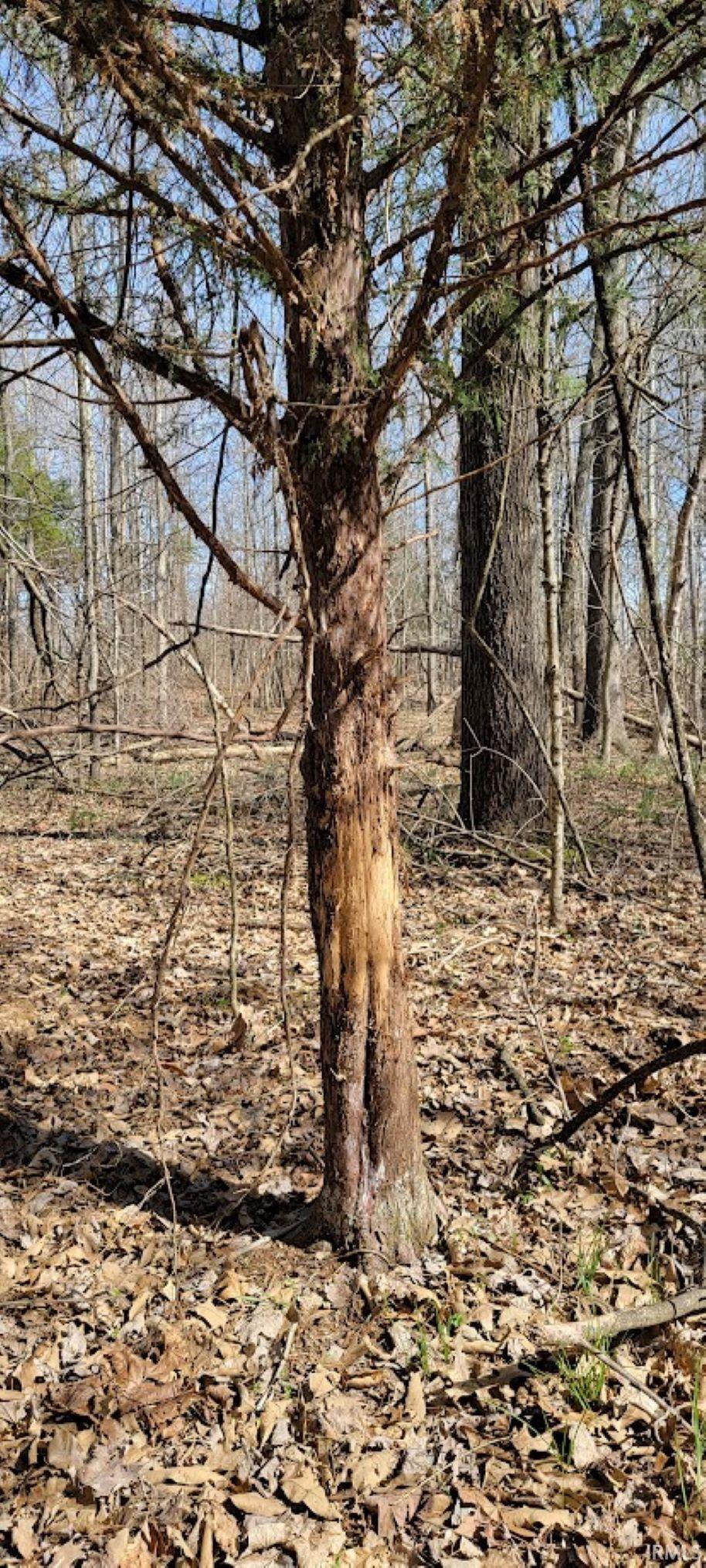 600 Shelburn In 47849 Shelburn, IN 47879 - Photo 13 of 26