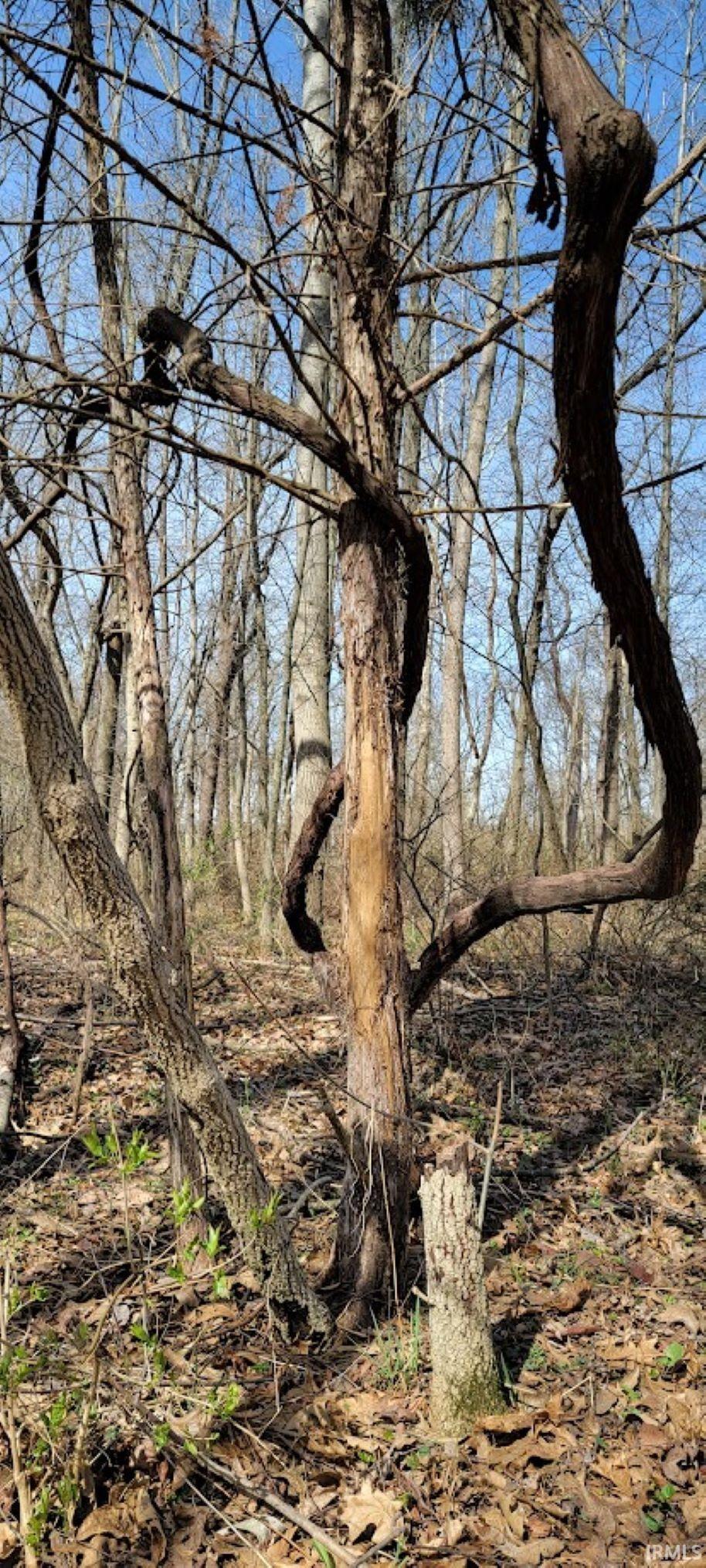 600 Shelburn In 47849 Shelburn, IN 47879 - Photo 16 of 26