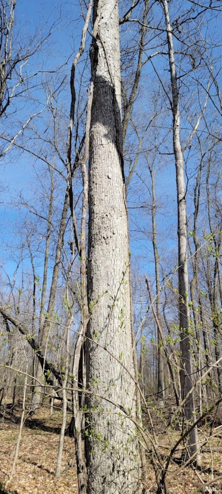 600 Shelburn In 47849 Shelburn, IN 47879 - Photo 8 of 26