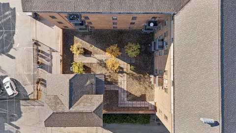 a view of a city with flower plants