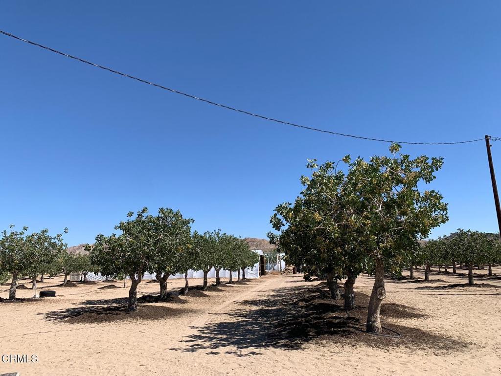 10080 Santa Fe Fire Road Lucerne Valley, CA 92356 - Photo 13 of 36