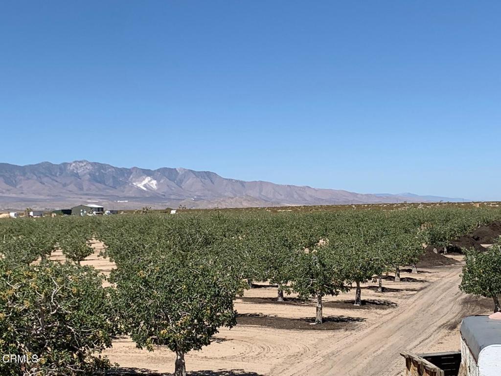 10080 Santa Fe Fire Road Lucerne Valley, CA 92356 - Photo 15 of 36 a view of a city with mountain