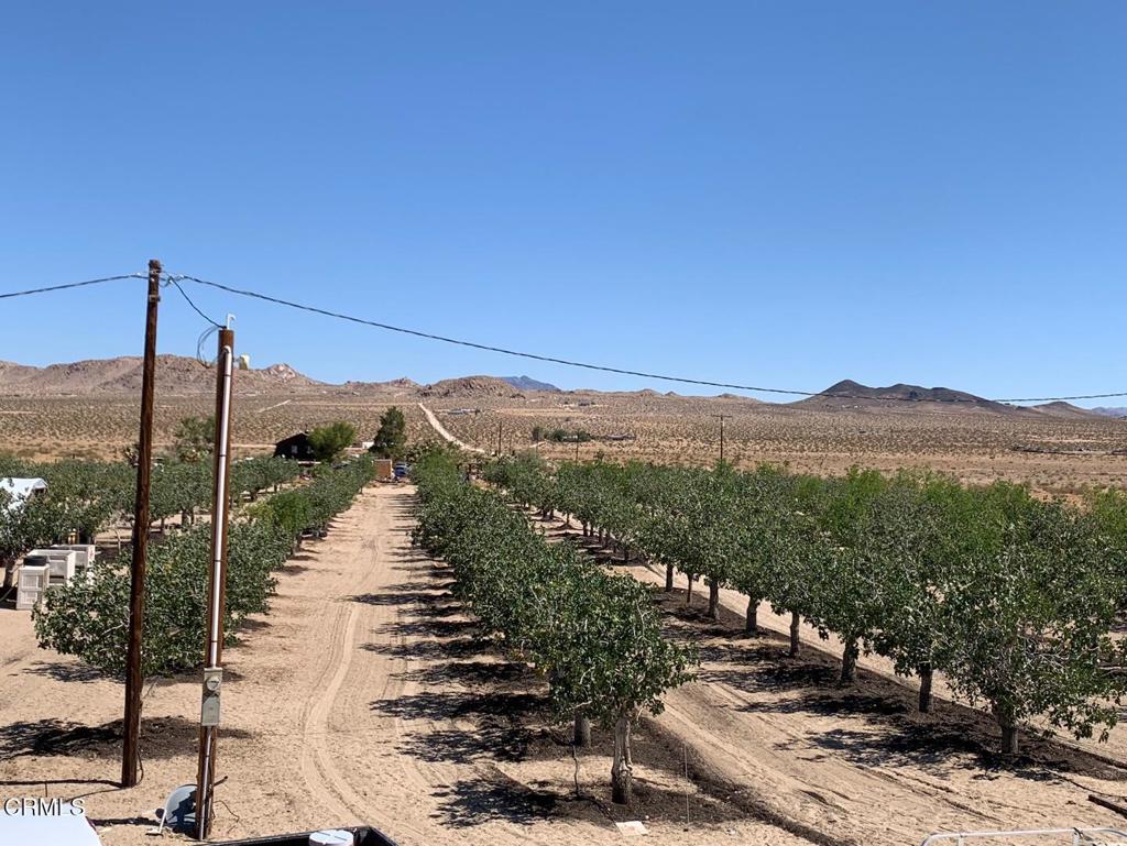 10080 Santa Fe Fire Road Lucerne Valley, CA 92356 - Photo 16 of 36 a view of a lake with a mountain