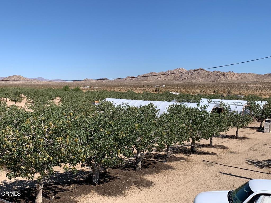 10080 Santa Fe Fire Road Lucerne Valley, CA 92356 - Photo 18 of 36