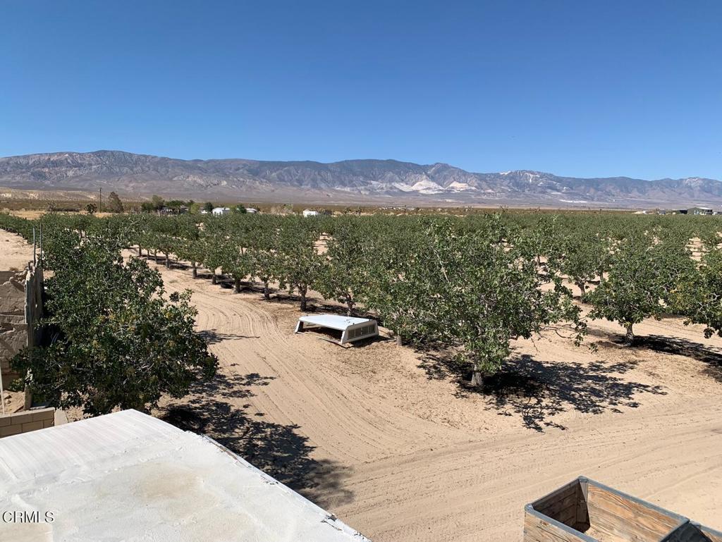 10080 Santa Fe Fire Road Lucerne Valley, CA 92356 - Photo 23 of 36 a view of a lake with a mountain