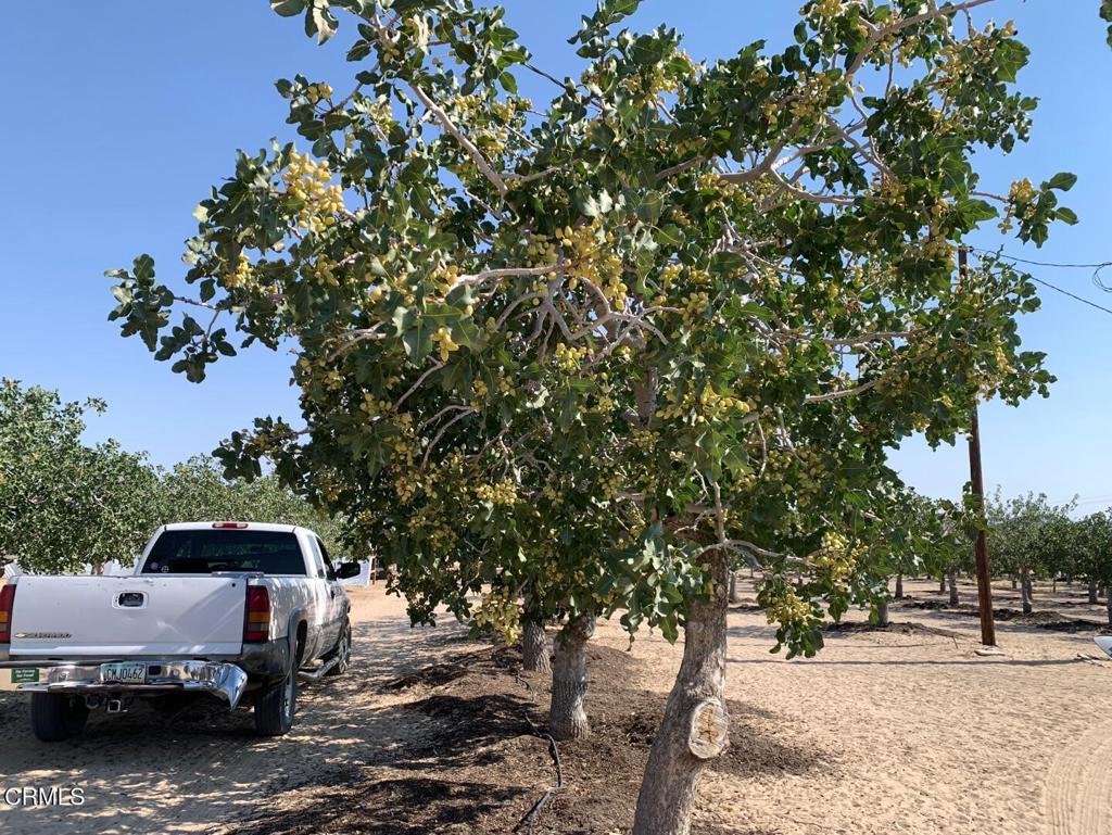 10080 Santa Fe Fire Road Lucerne Valley, CA 92356 - Photo 36 of 36 a backyard of a house with barbeque oven