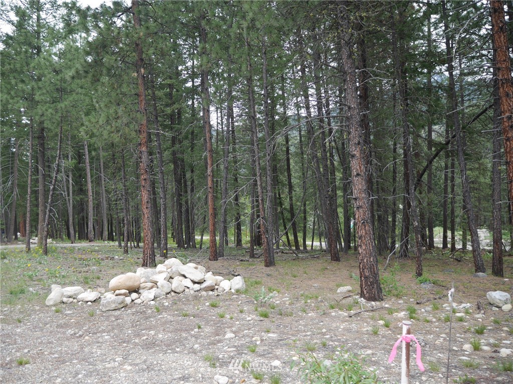 51 Lost River Road Mazama, WA 98833 - Photo 1 of 10 Gallery Image 1