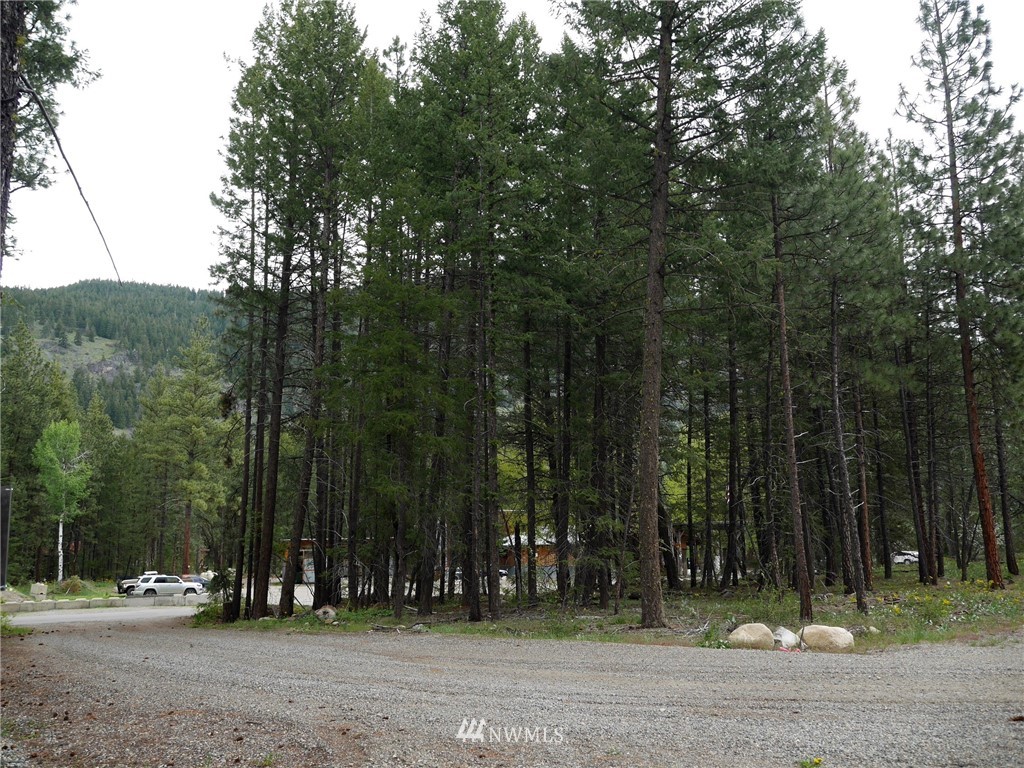 51 Lost River Road Mazama, WA 98833 - Photo 2 of 10 Gallery Image 2