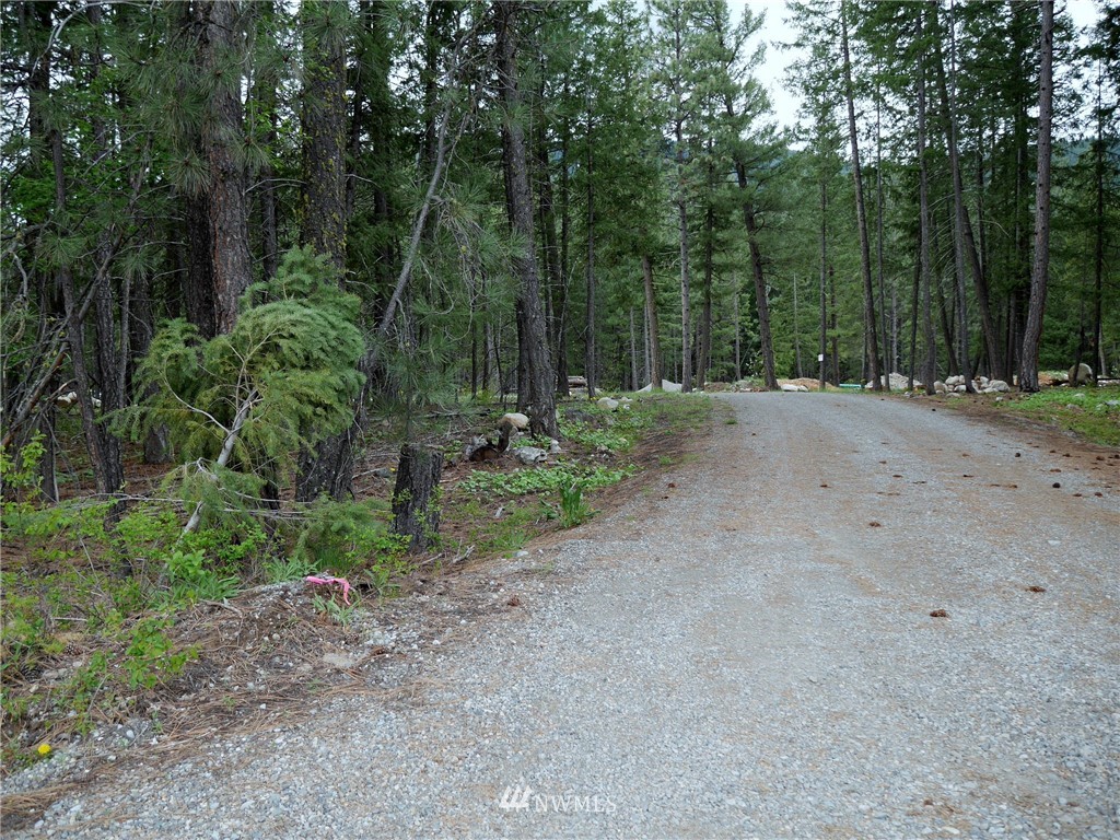 51 Lost River Road Mazama, WA 98833 - Photo 3 of 10 Gallery Image 3