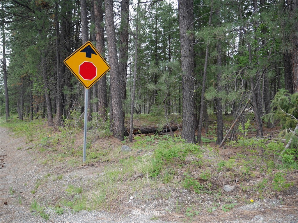 51 Lost River Road Mazama, WA 98833 - Photo 5 of 10 Gallery Image 5