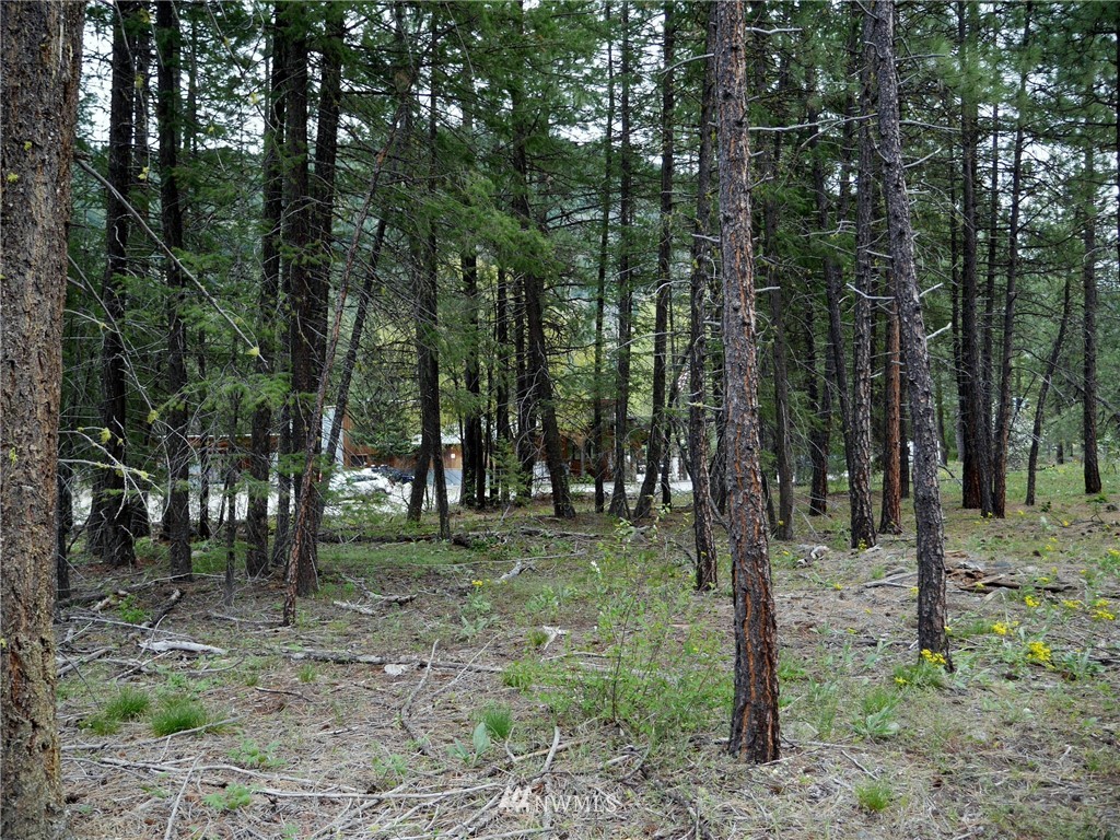 51 Lost River Road Mazama, WA 98833 - Photo 9 of 10 Gallery Image 9