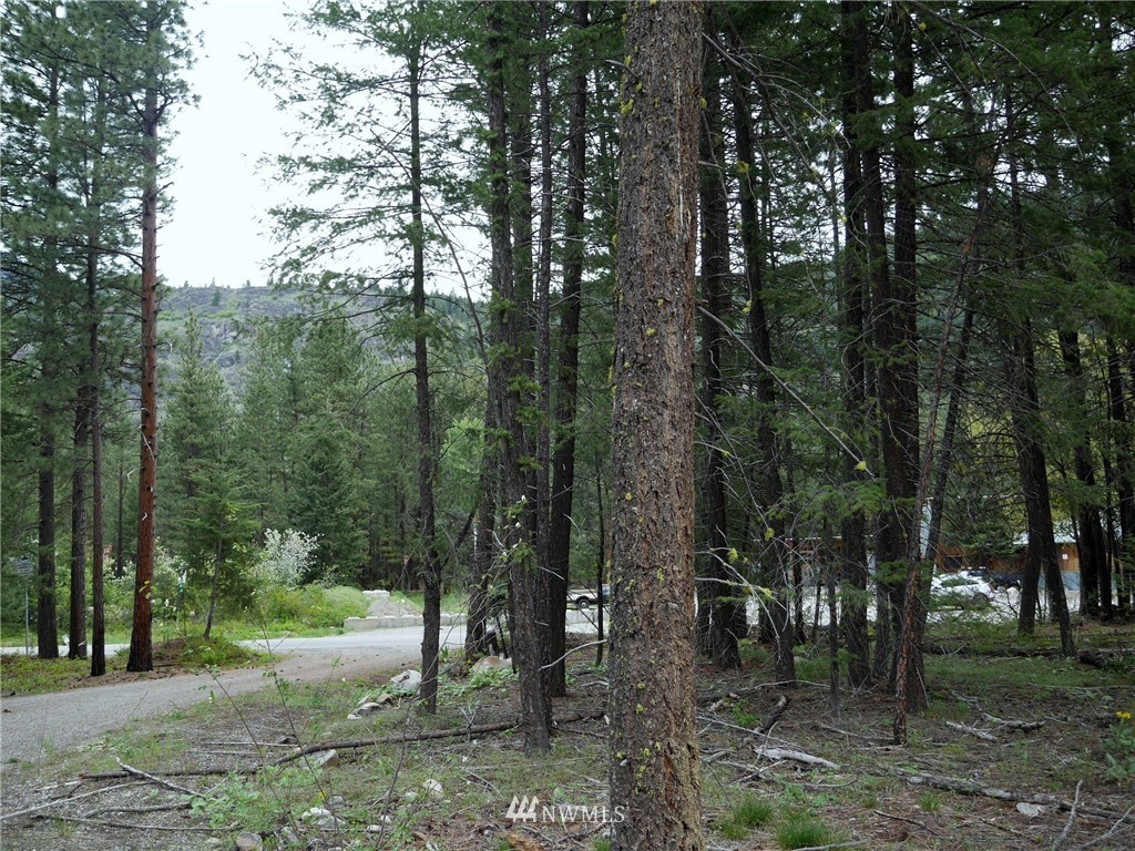 51 Lost River Road Mazama, WA 98833 - Photo 10 of 10 Gallery Image 10