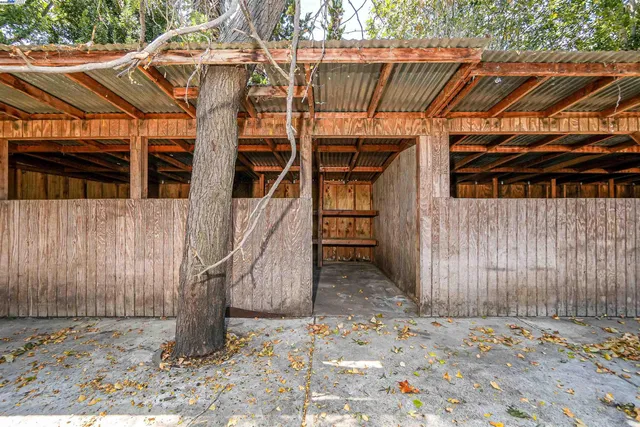 a backyard of a house with lots of plants and large trees