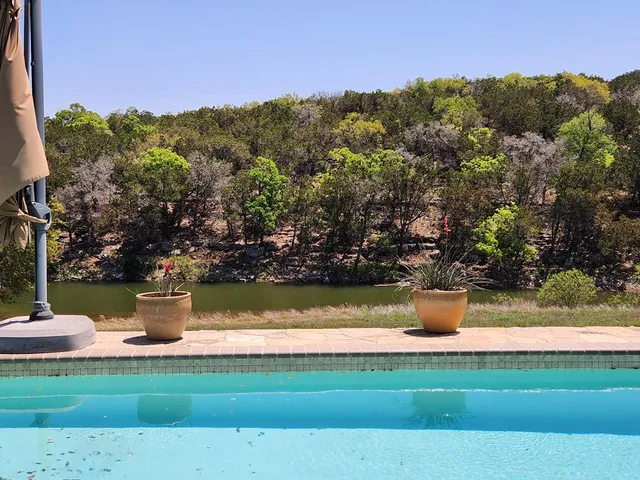 a view of a yard with a bench and some trees