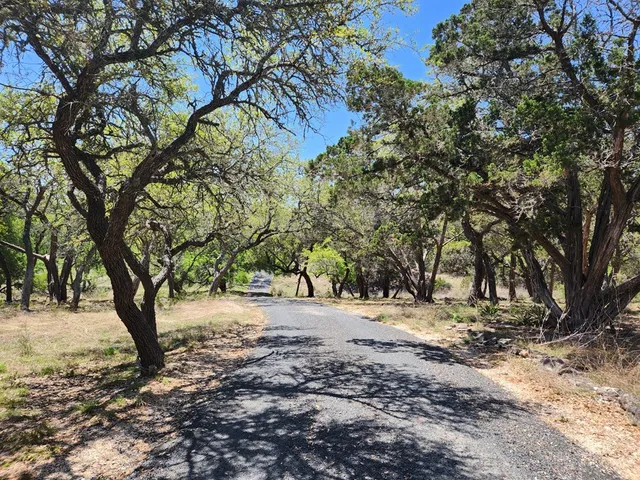 a view of a tree with a yard