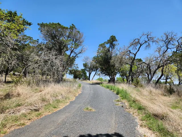 a view of a lake in between two trees