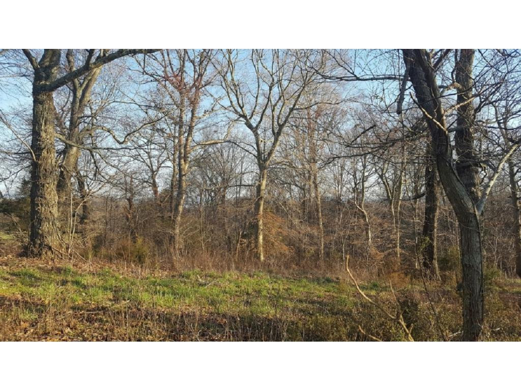 0 Martin Road, Unit 2 Limestone, TN 37681 - Photo 3 of 3 Photo 3