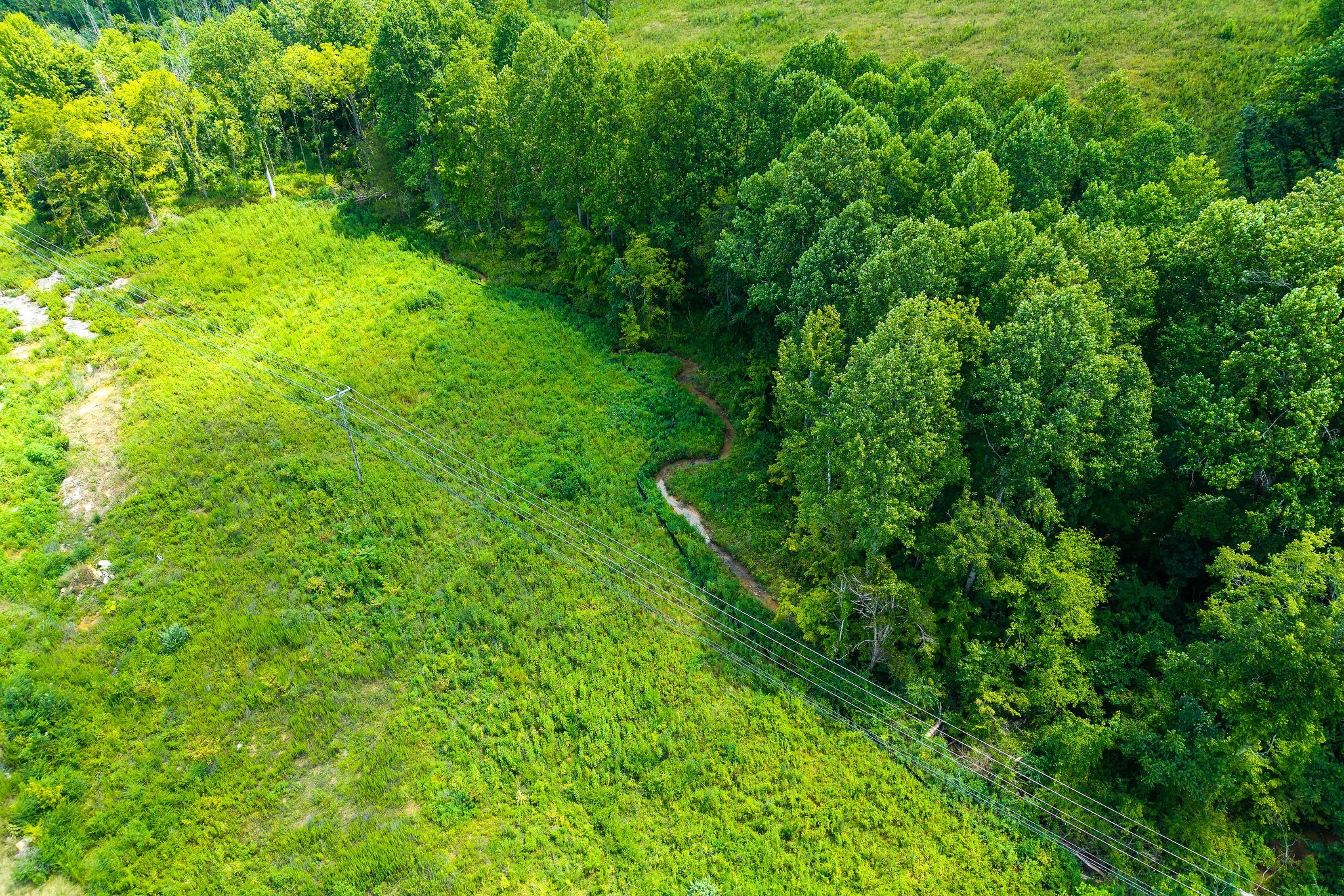 0 Dodson Branch Road Cookeville, TN 38501 - Photo 18 of 26