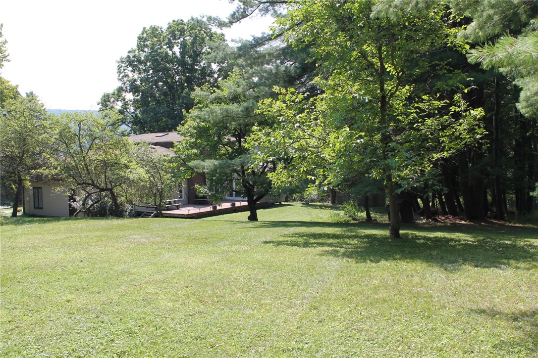 5 Ridgeway Circle Erwin, NY 14870 - Photo 5 of 49 Very large and spacious yard
