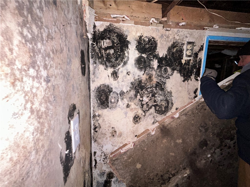 362 Wilkins Street Rochester, NY 14621 - Photo 26 of 35