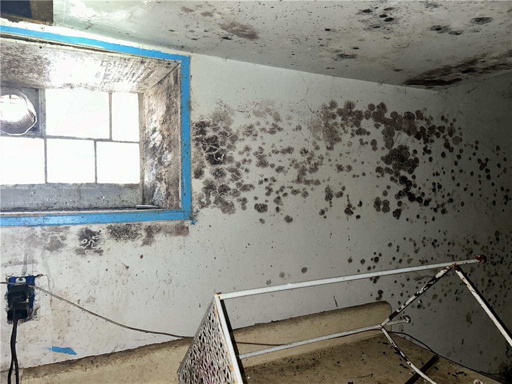 362 Wilkins Street Rochester, NY 14621 - Photo 28 of 35