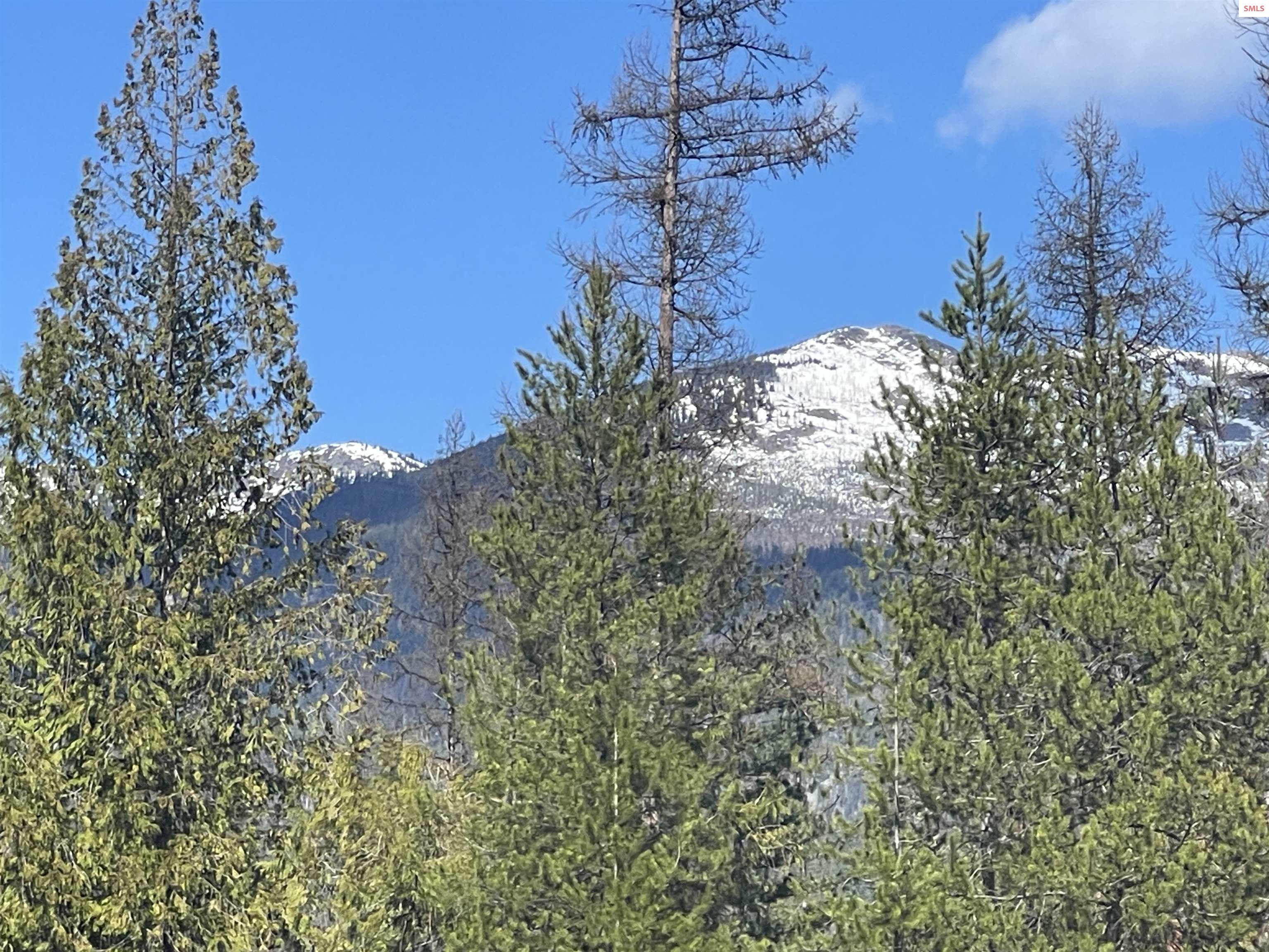 631 Wolverine Road Moyie Springs, ID 83845 - Photo 87 of 87 Timber and Views