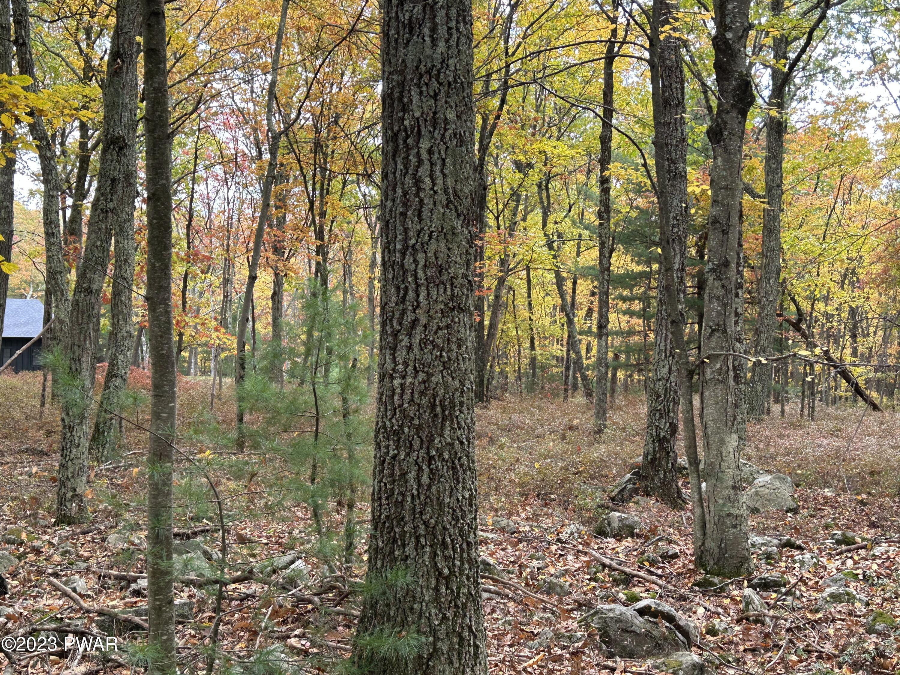 Lot 26 Timber Ridge Drive Hawley, PA 18428 - Photo 16 of 18