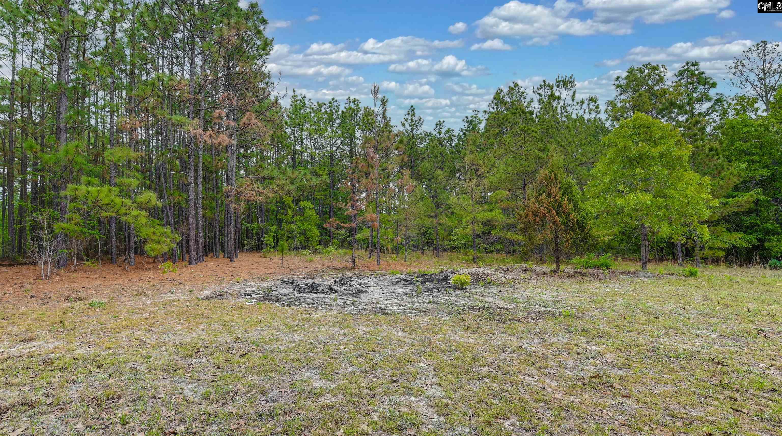 972 Gary Goff Road Elgin, SC 29045 - Photo 10 of 45