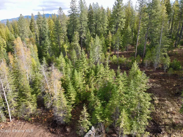 $350,000 | Nna Wild Fawn Road, Sagle, ID 83860