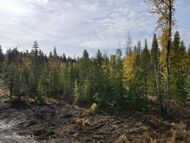 $350,000 | Nna Wild Fawn Road, Sagle, ID 83860