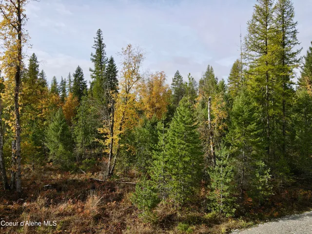 $350,000 | Nna Wild Fawn Road, Sagle, ID 83860