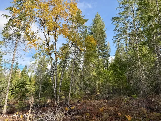 $350,000 | Nna Wild Fawn Road, Sagle, ID 83860