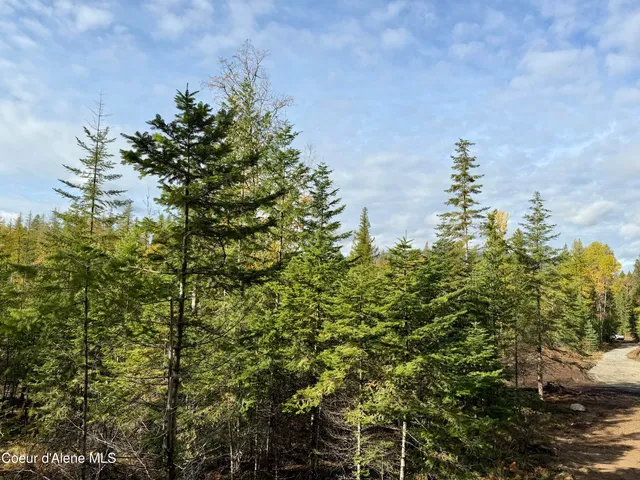 $350,000 | Nna Wild Fawn Road, Sagle, ID 83860