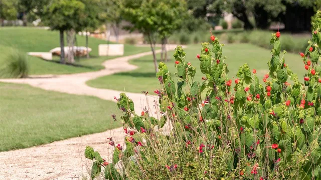 $1,043,900 | 1252 Jolie Rose Bend, Leander, TX 78641