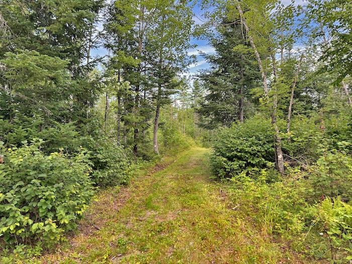 Lot 33-1a Smith Road Orient, ME 04471 - Photo 10 of 26 land-maine-walking-pathways