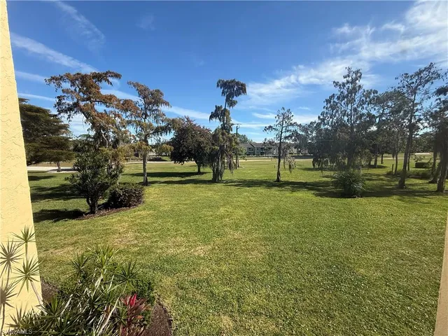 a view of a park with large trees