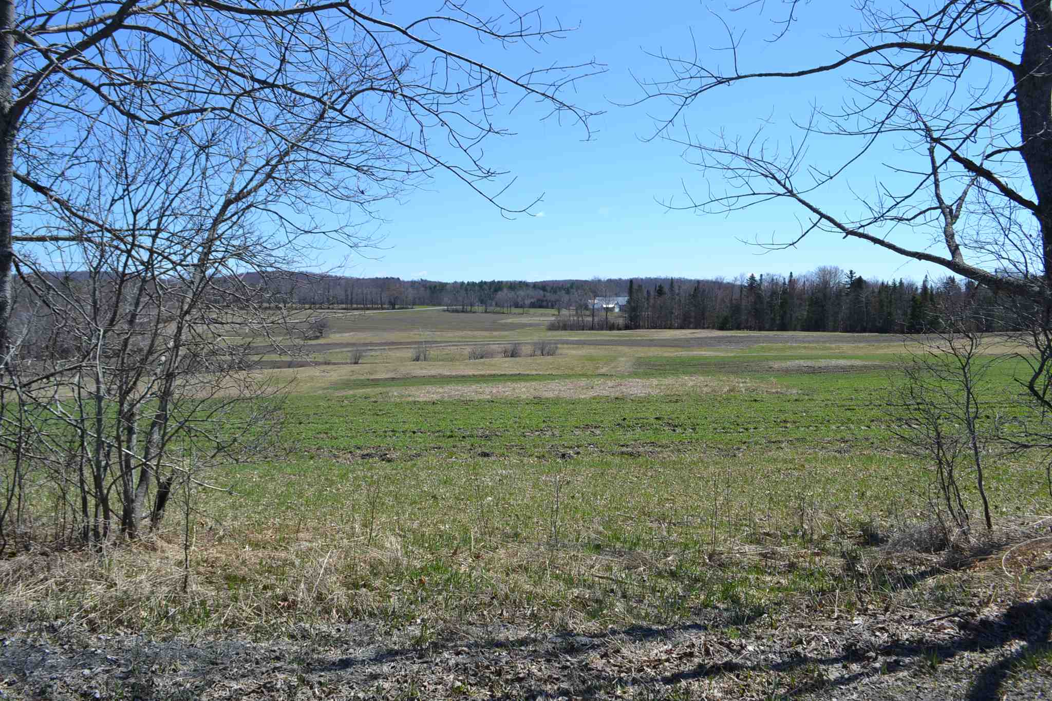 Lot 2 South Hill Road Williamstown, VT 05679 - Photo 14 of 14