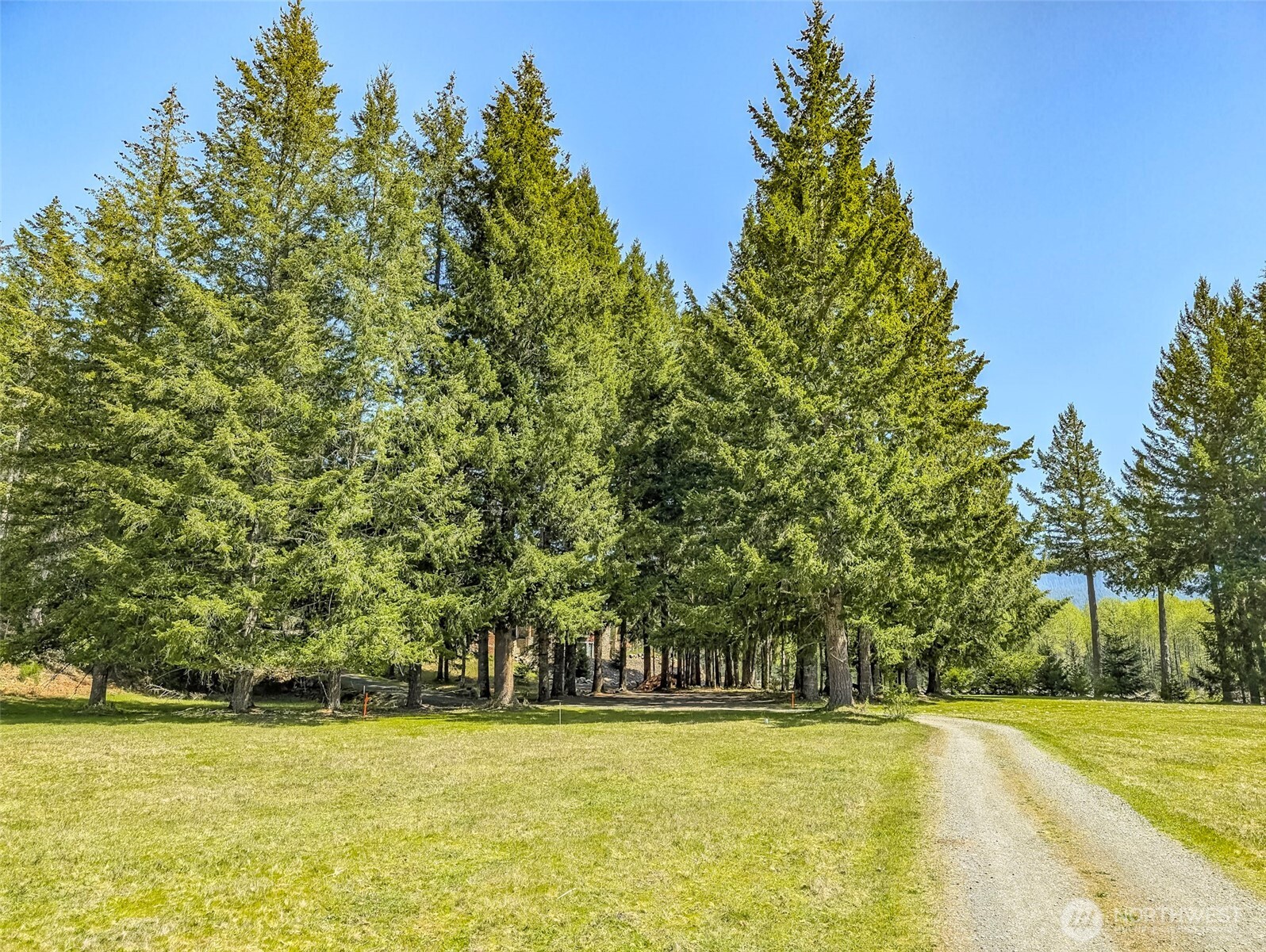 0 Craig Road, Unit LOT B2 Packwood, WA 98361 - Photo 11 of 16