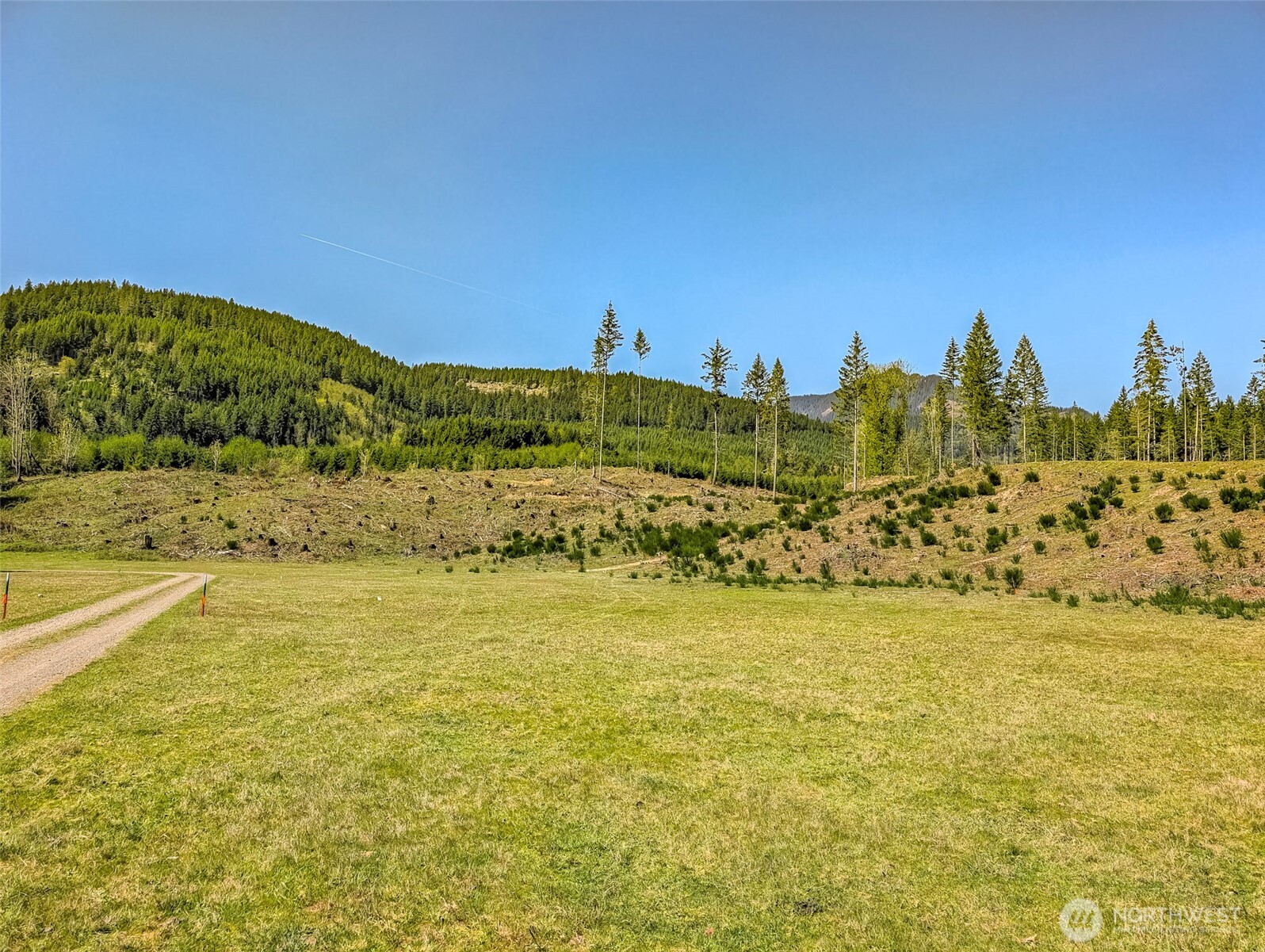 0 Craig Road, Unit LOT B2 Packwood, WA 98361 - Photo 12 of 16