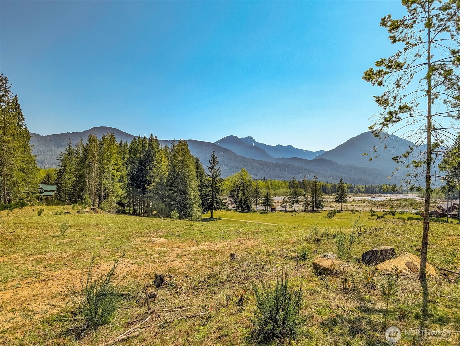 0 Craig Road, Unit LOT B2 Packwood, WA 98361 - Photo 7 of 16
