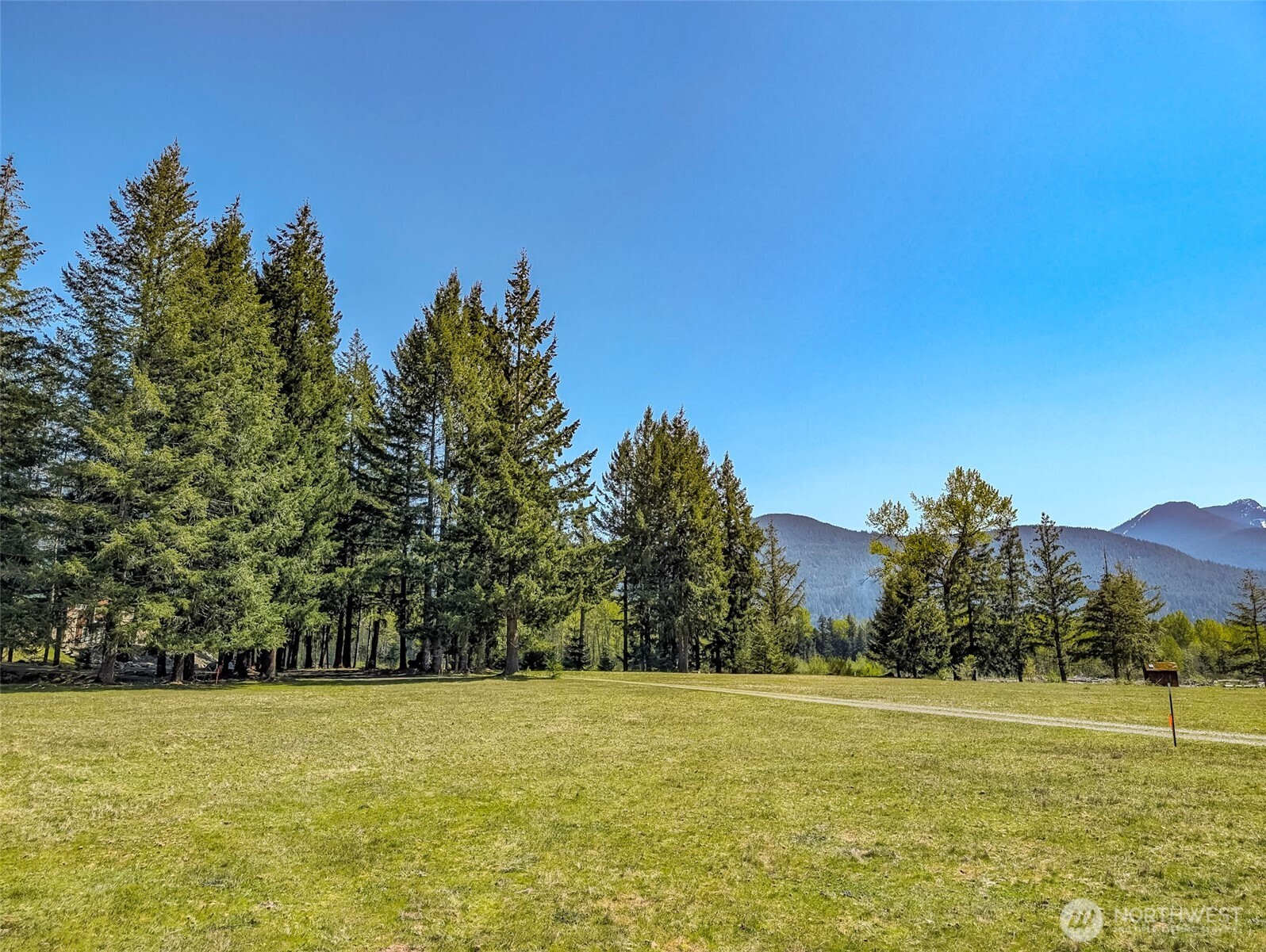 0 Craig Road, Unit LOT B2 Packwood, WA 98361 - Photo 10 of 16