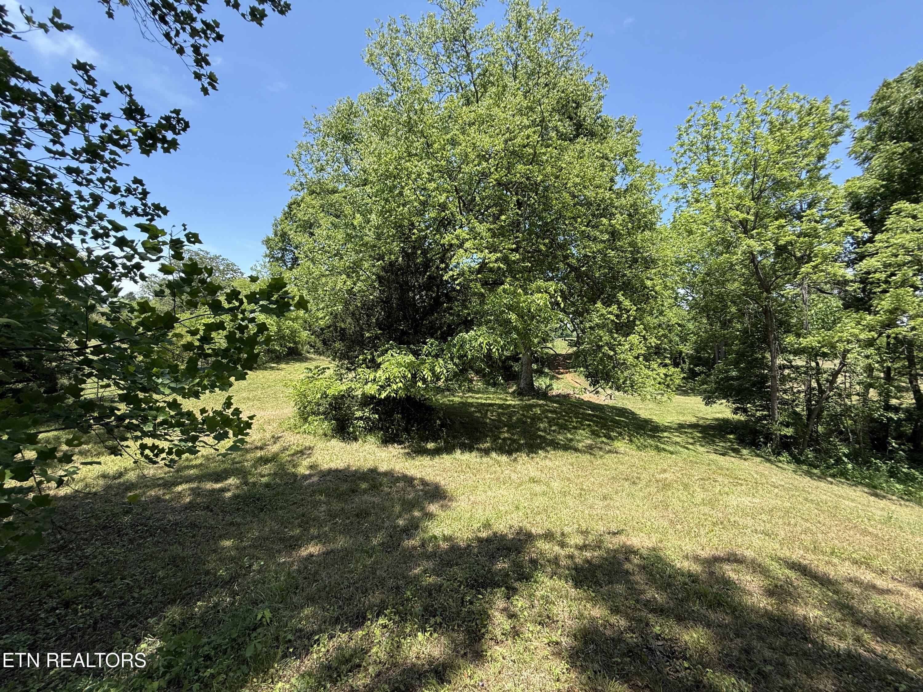 Richland Road Blaine, TN 37709 - Photo 17 of 25 IMG_5461