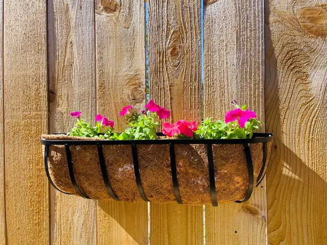 $2,895 | 706 Cirrus Lane, Fredericksburg, TX 78624